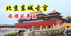 浪妇的肉洞被操肏视频中国北京-东城古宫旅游风景区